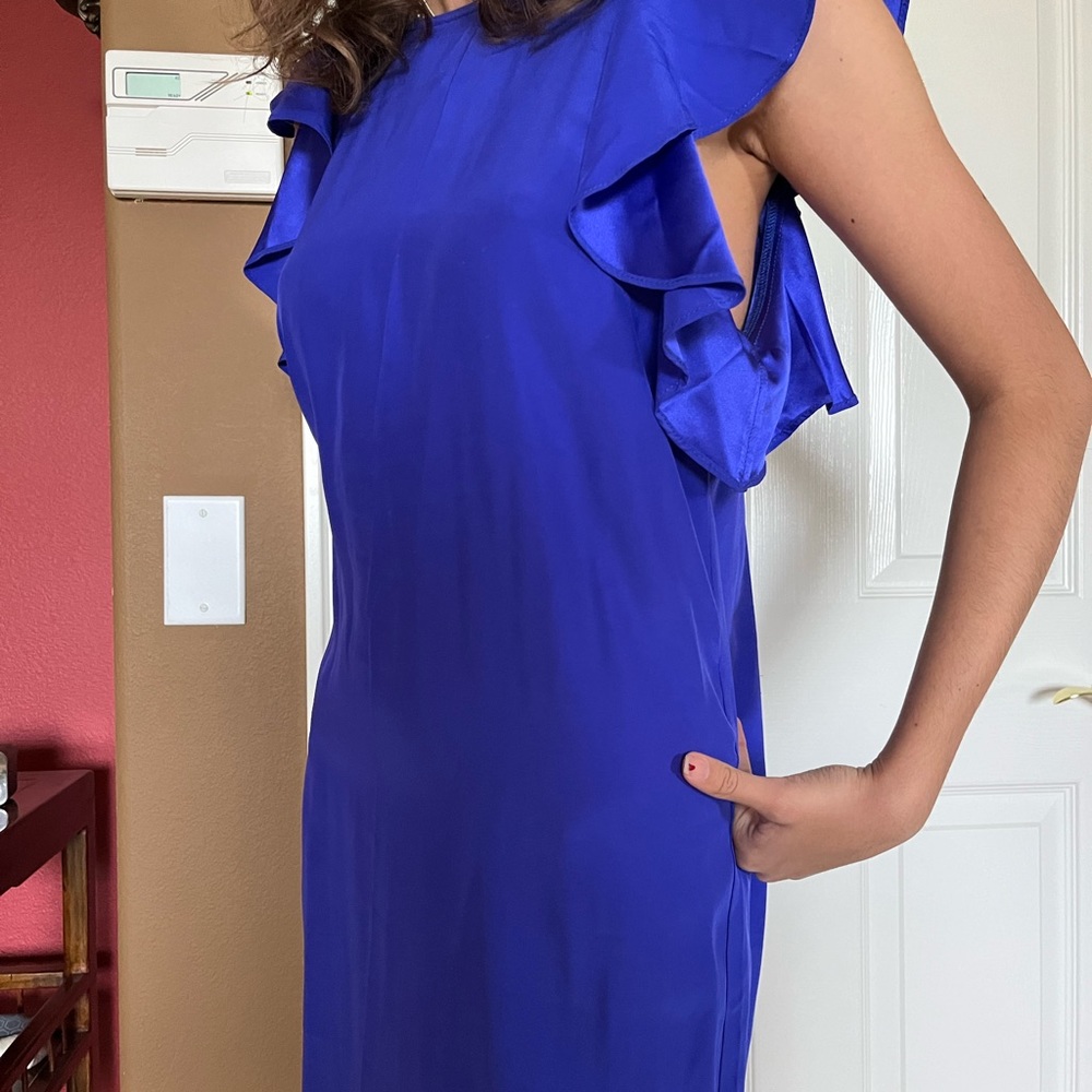 Beautiful Amanda Uprichard silk dress